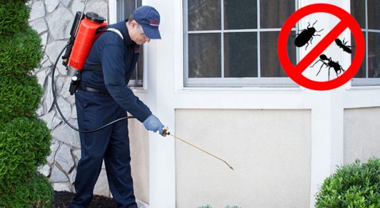 Bünyan Kemirgen İlaçlama böcek ilaçlama ve haşere kontrolü — ilaclama-tr.com